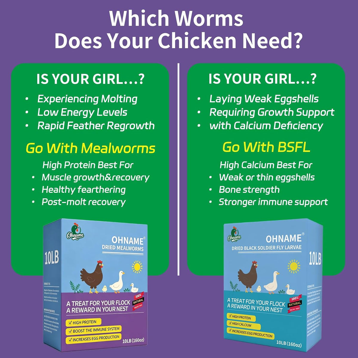 2LB Dried Mealworms for Chickens - 52% Protein for Growth - Image 4