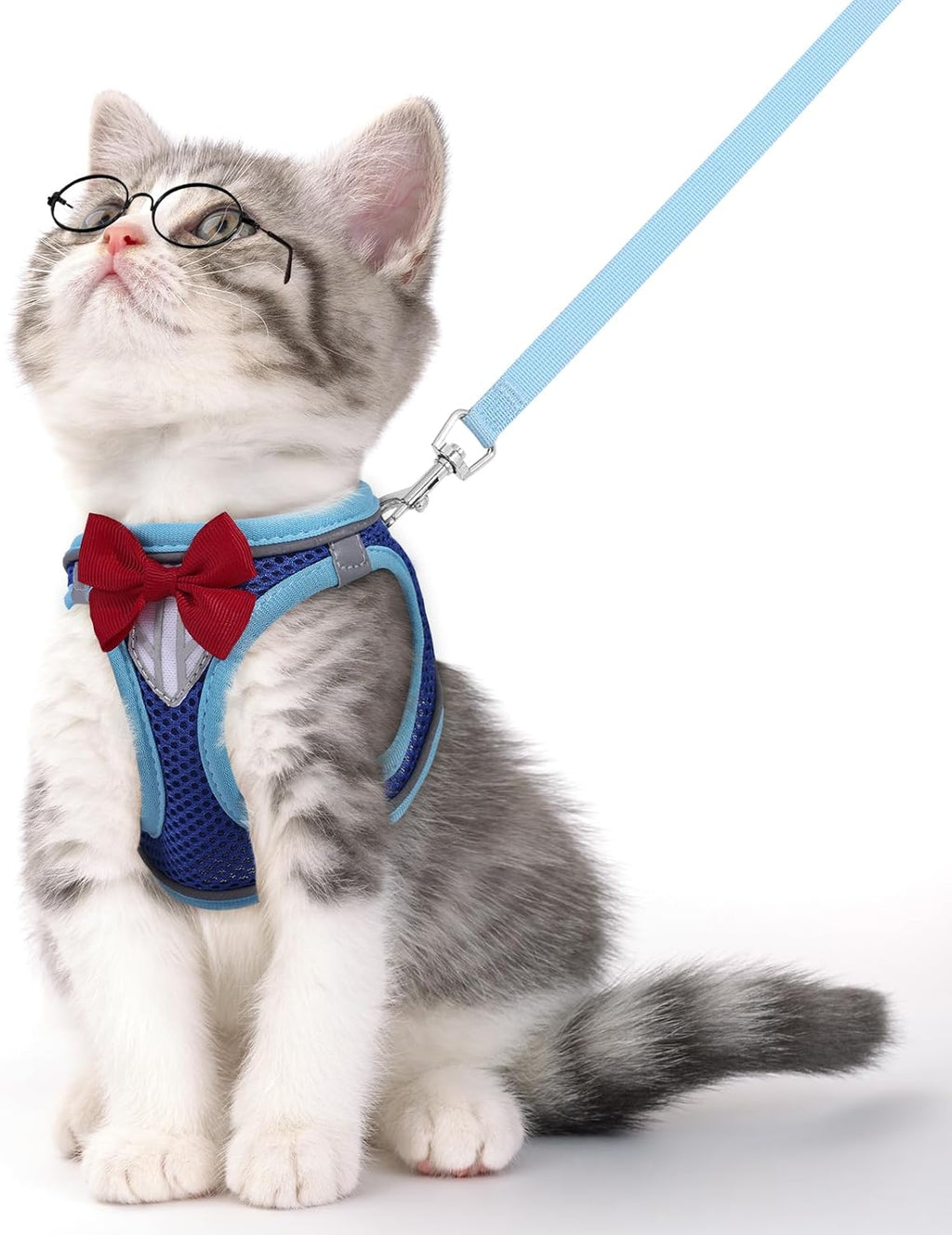 Cat Vest Harness and Leash Set for Walking Escape Proof, Adjustable Kitten Harness Breathable Mesh with Reflective Strips Harness for Kitty Puppy Bunny (Blue, XS) - Image 12