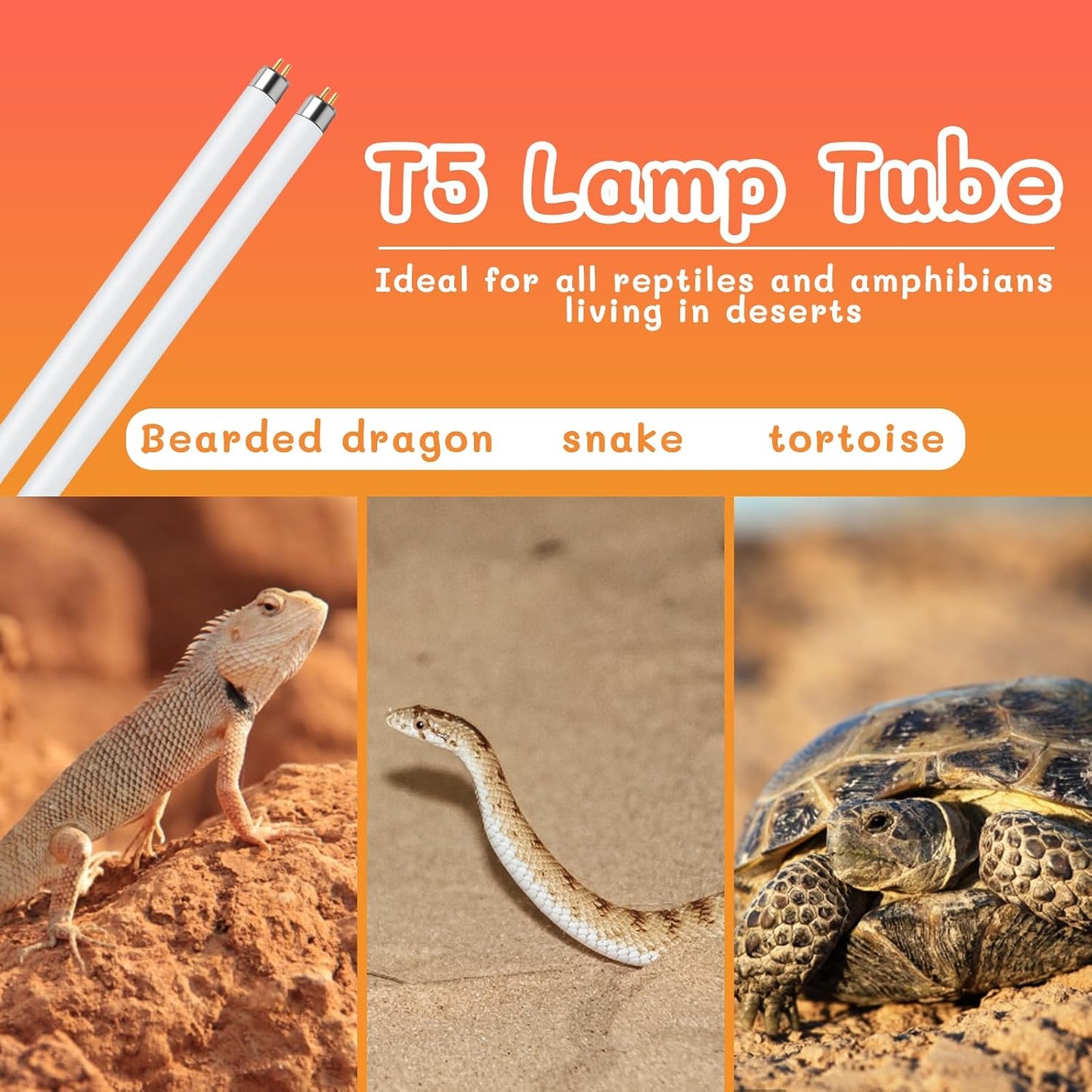 Comparison view of the long T5 fluorescent tube showing the wide area illumination range.