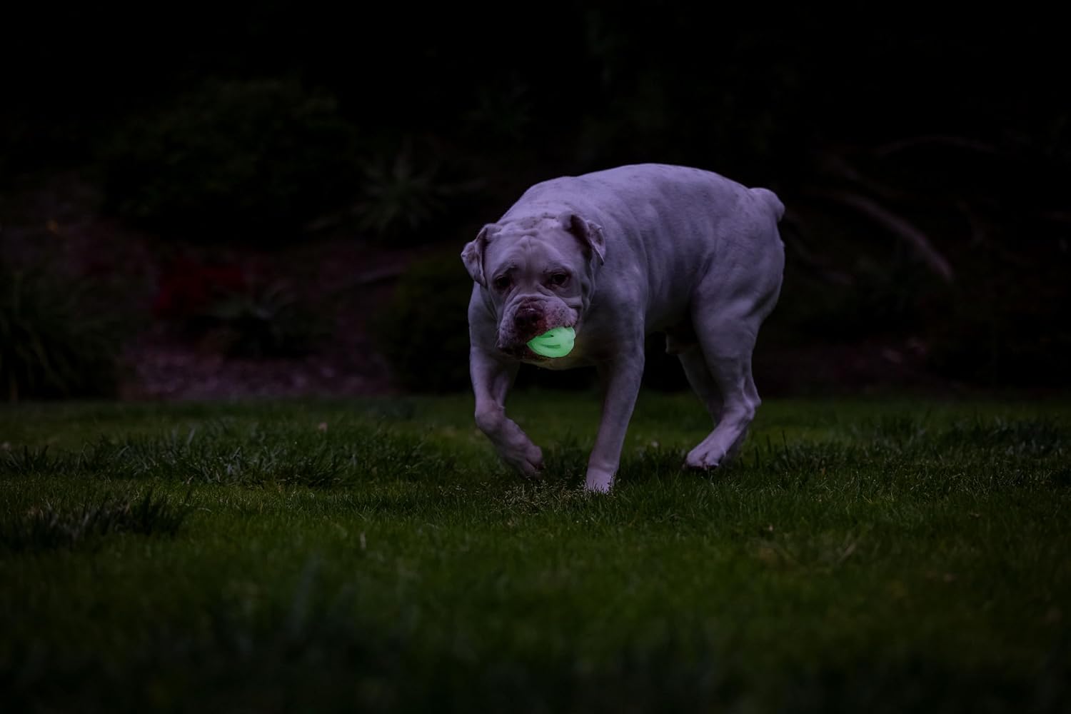 Chuckit! Air Glow ball mesh design close up