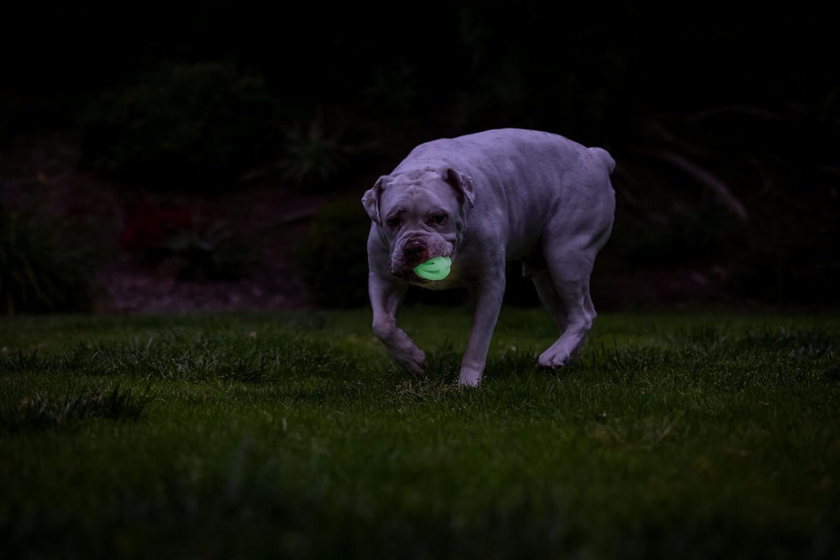 Chuckit! Air Glow ball mesh design close up