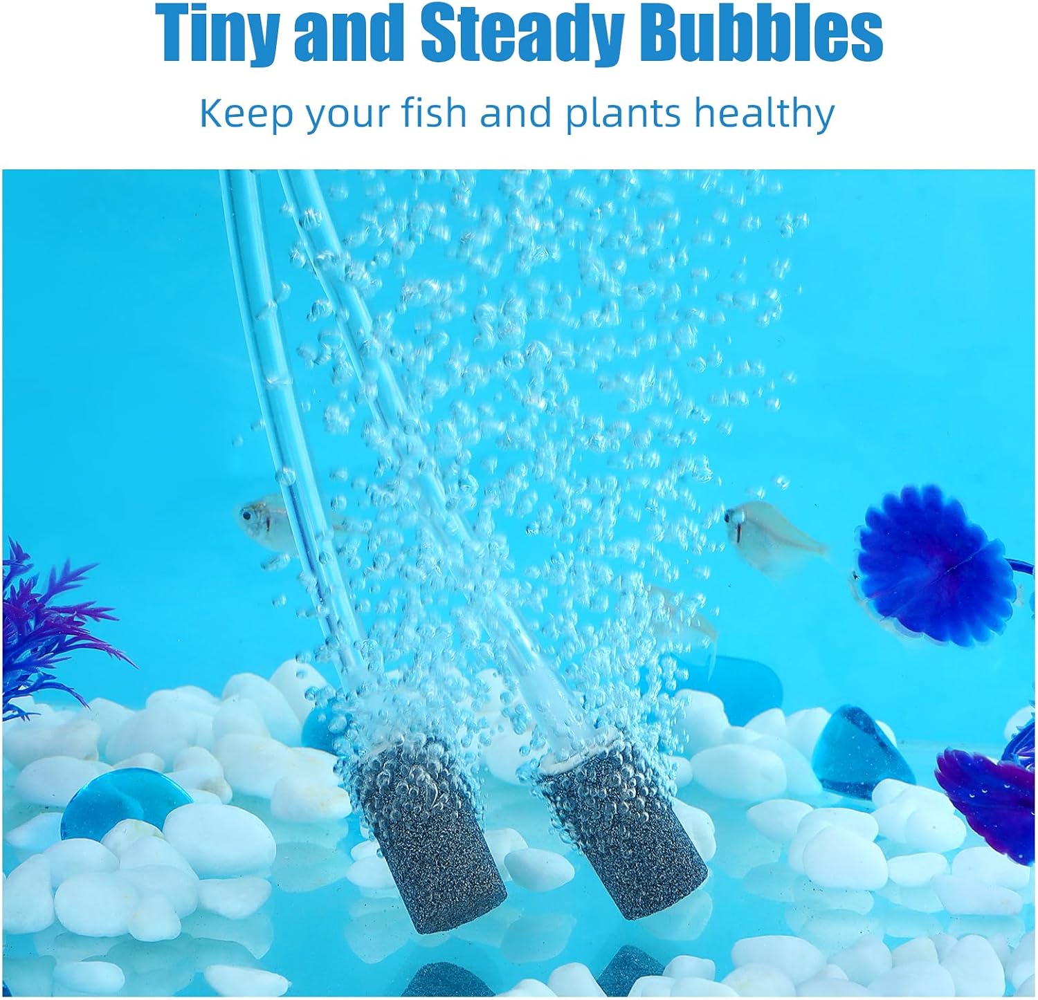 Aquaneat aerator stones showing 0.55 inch diameter and 1 inch height dimensions