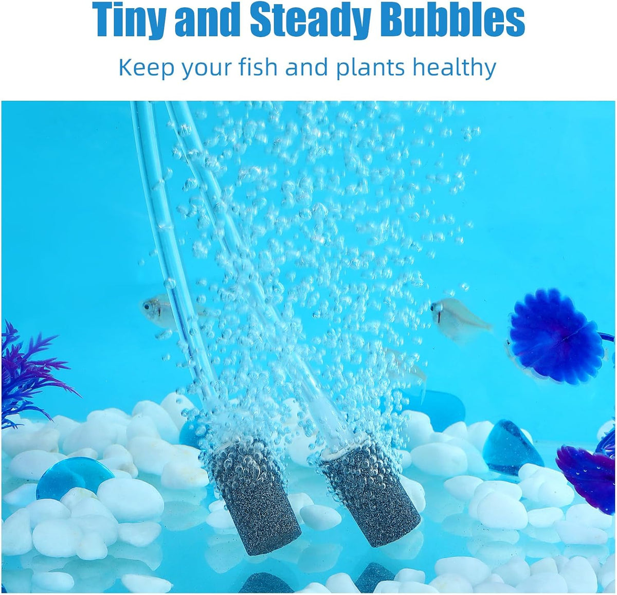 Aquaneat 1 inch air stone 12 pack packaging layout