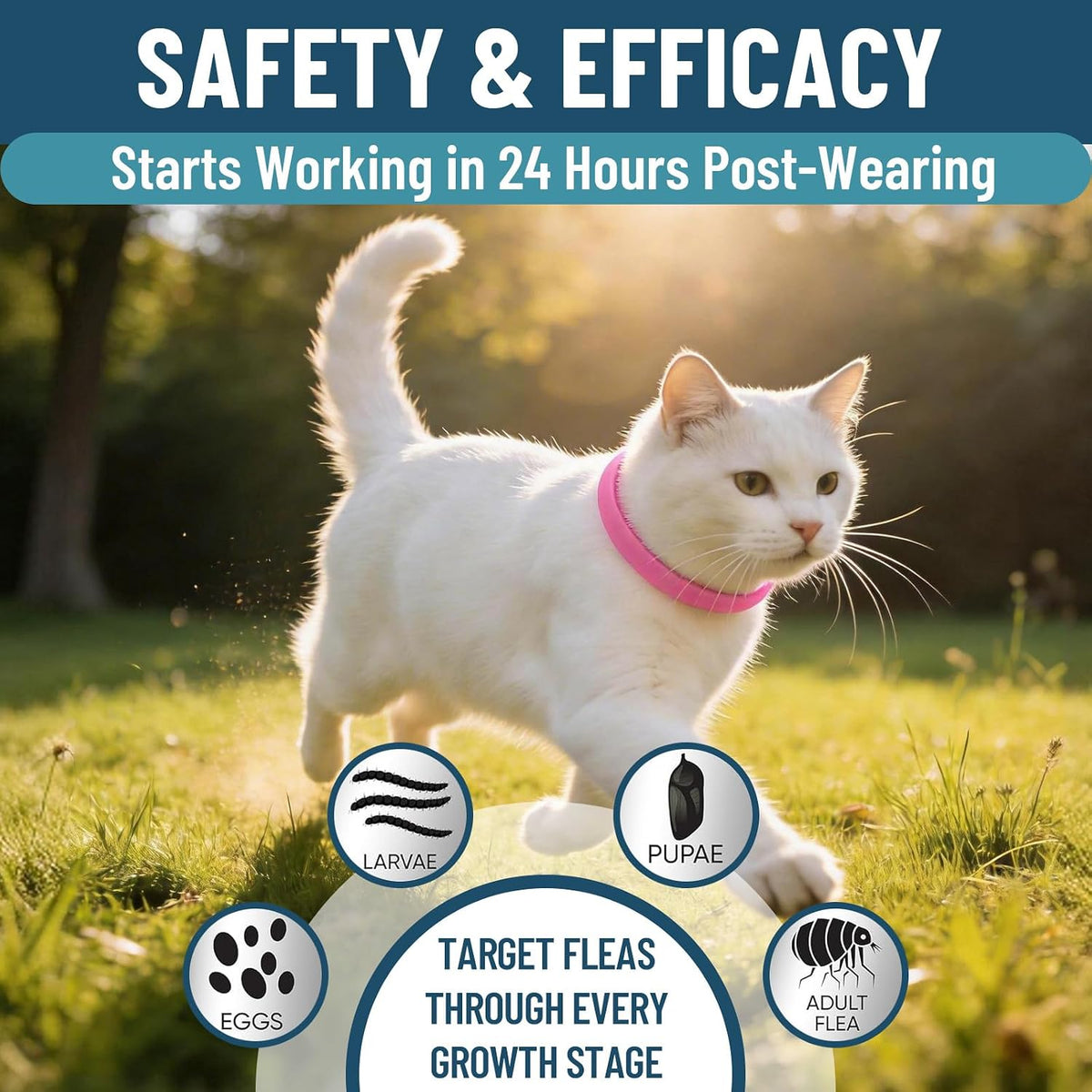 4 pack set of pink Vicsom cat flea prevention collars