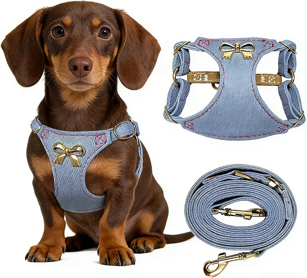 No Pull Dog Harness and Leash Set for Small Sized Dog Training with Multifunction Dog Leash, Soft Adjustable No Choke Escape Proof Pet Harness for Small and Medium Dog (Pink, XXS) - Image 11