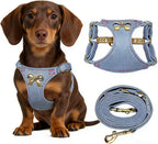 No Pull Dog Harness and Leash Set for Small Sized Dog Training with Multifunction Dog Leash, Soft Adjustable No Choke Escape Proof Pet Harness for Small and Medium Dog (Pink, XXS) - Image 11