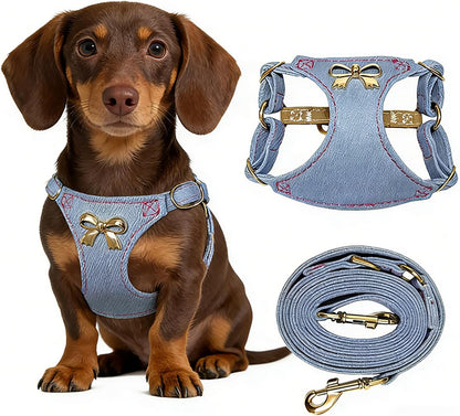 No Pull Dog Harness and Leash Set for Small Sized Dog Training with Multifunction Dog Leash, Soft Adjustable No Choke Escape Proof Pet Harness for Small and Medium Dog (Pink, XXS) - Image 11