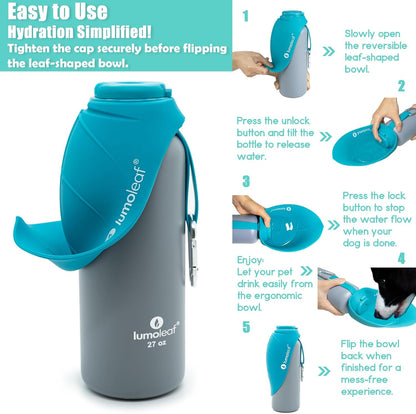 Double wall insulated dog bottle being filled with ice cubes via wide mouth.