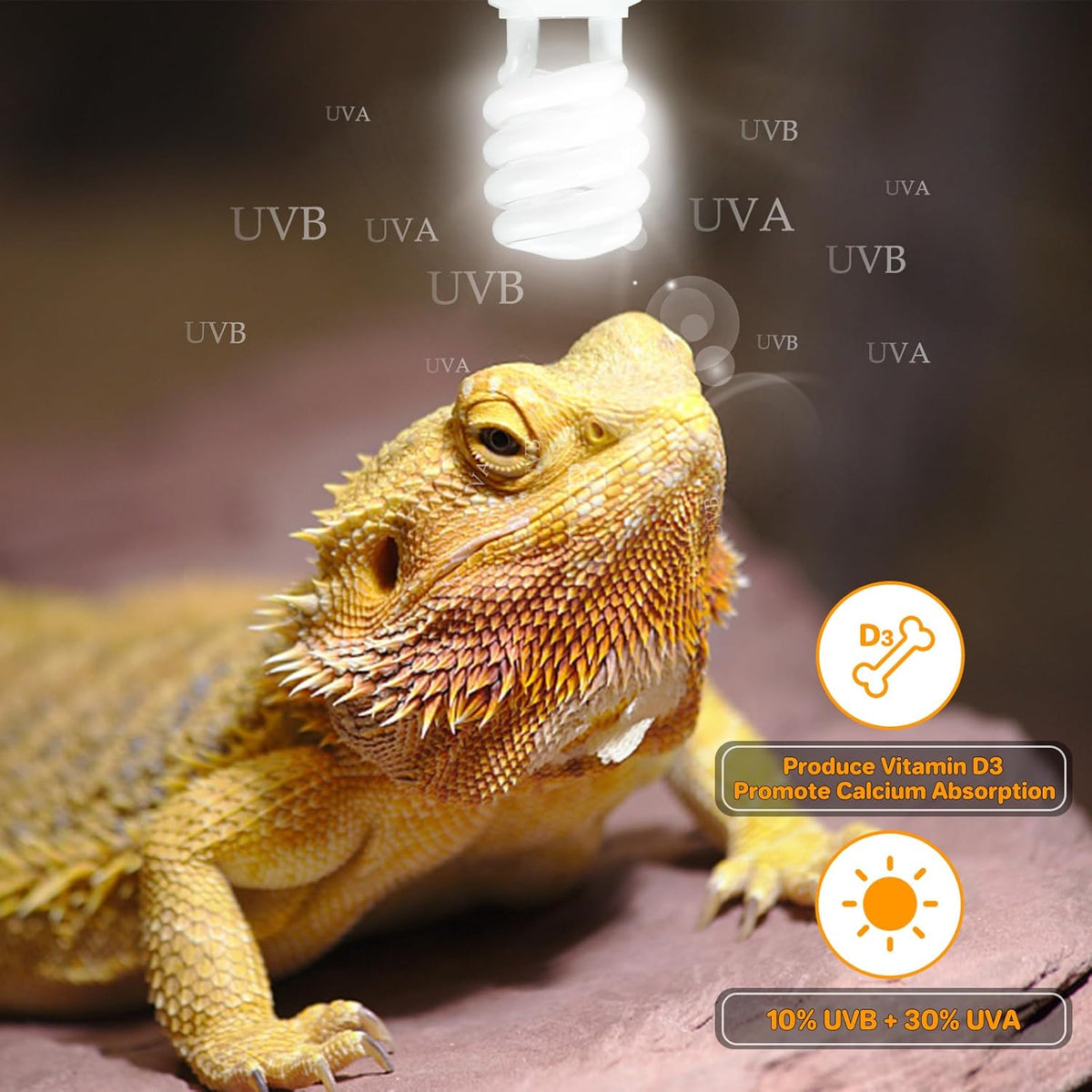 Lucky Herp reptile light packaging back panel information