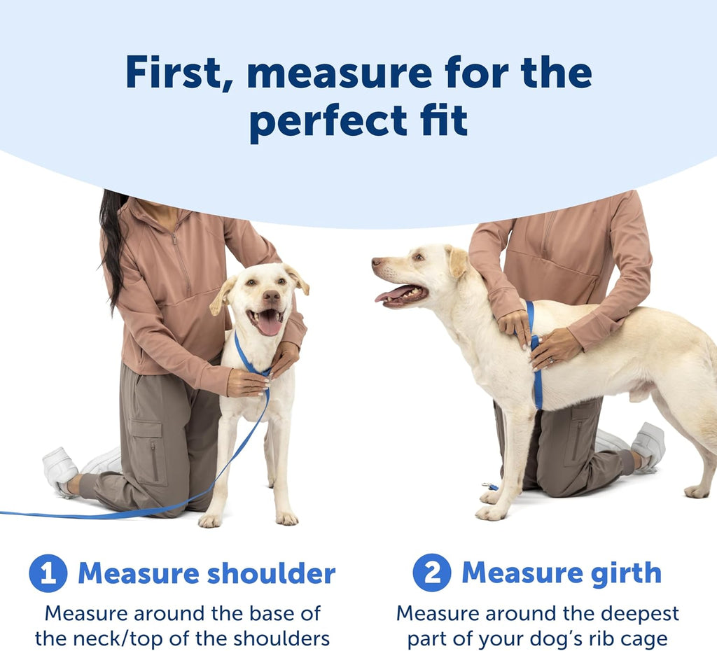 Back leash attachment point on PetSafe harness