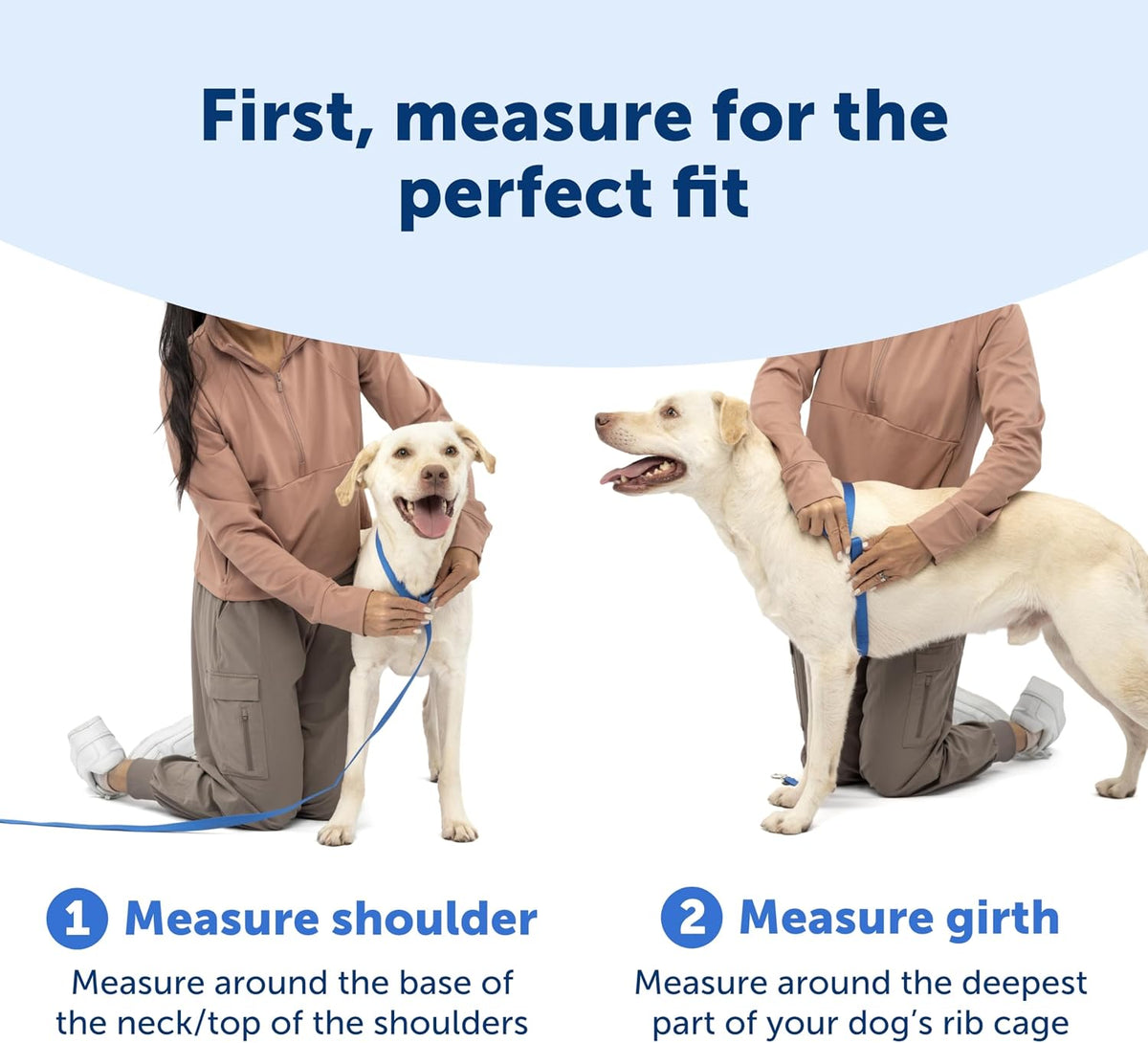 Back leash attachment point on PetSafe harness