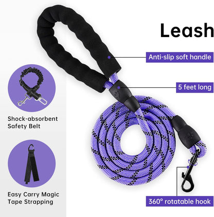 Ivy And Lane harness showing reflective strips at night