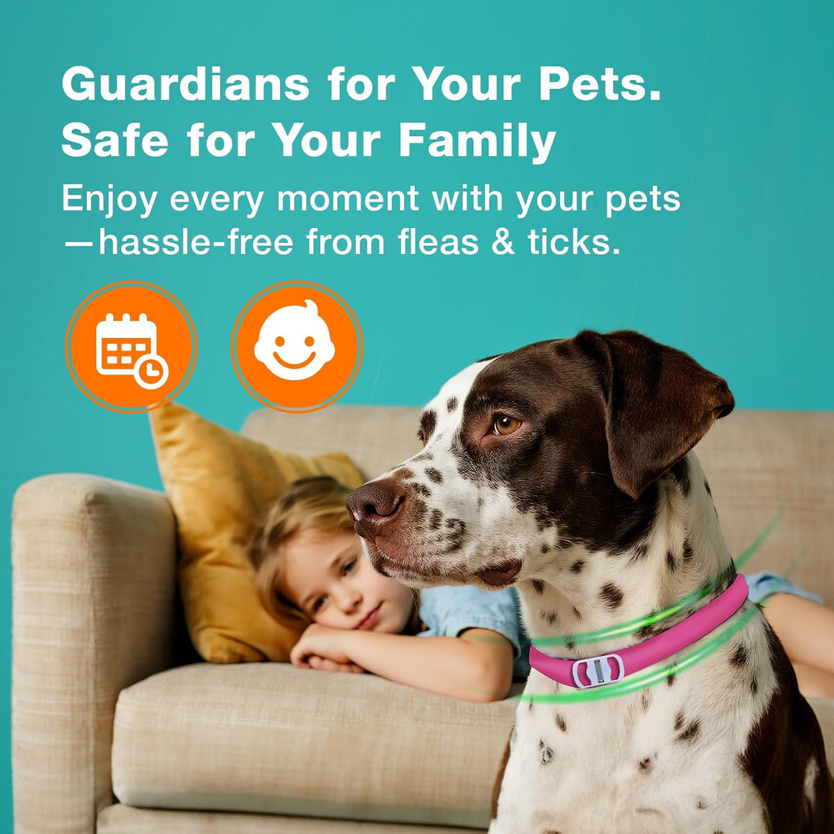 ZingZap flea and tick collar worn by a cat