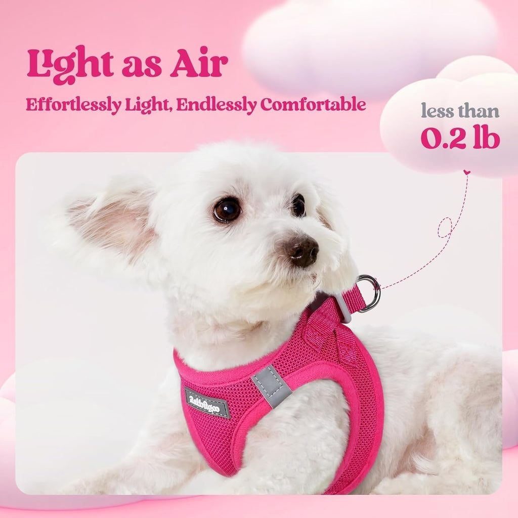 Rabbitgoo step in dog harness closure details reflective bands