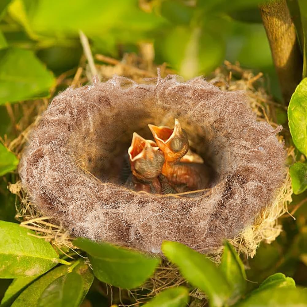 Creatcabin bird bedding material in packaging
