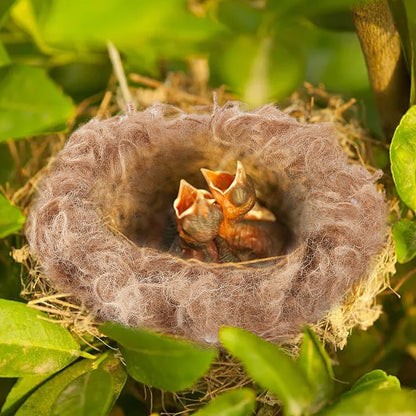 Small bird nest built with Creatcabin bedding