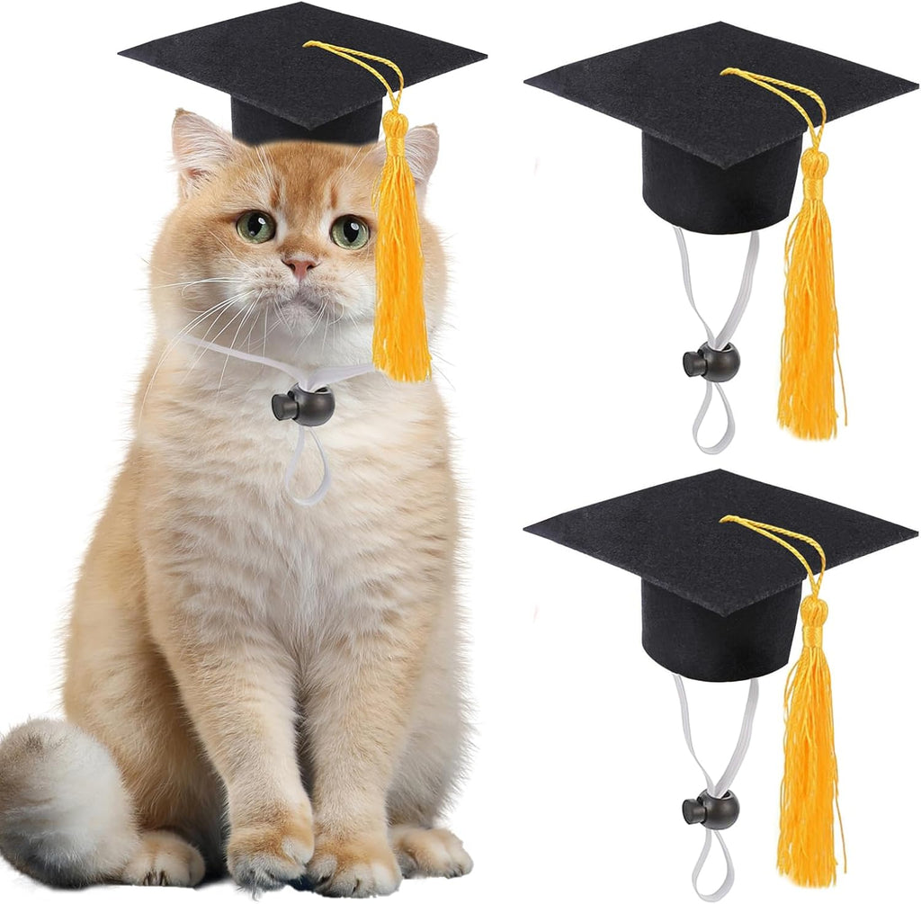 Giftmissu mini graduation cap for cat front view