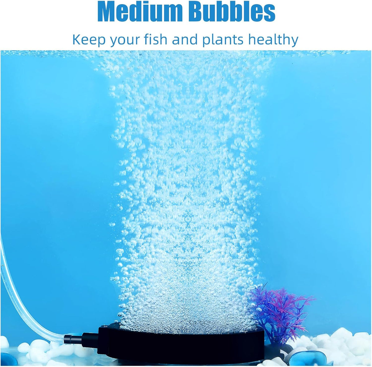 Aquaneat aquarium air stone disc front view with suction cups