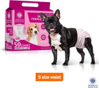 American Kennel Club small female dog diaper showing the adjustable fur-safe closures