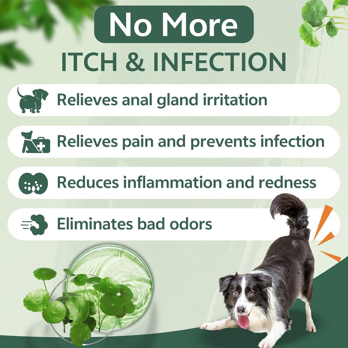 Puyrzoe pet anti itch spray back label showing usage instructions.