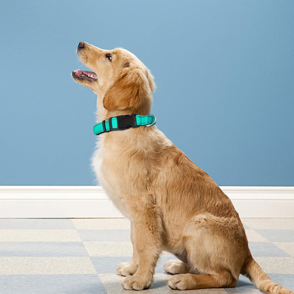 Close up of PWOD reflective dog collar showing neoprene padding