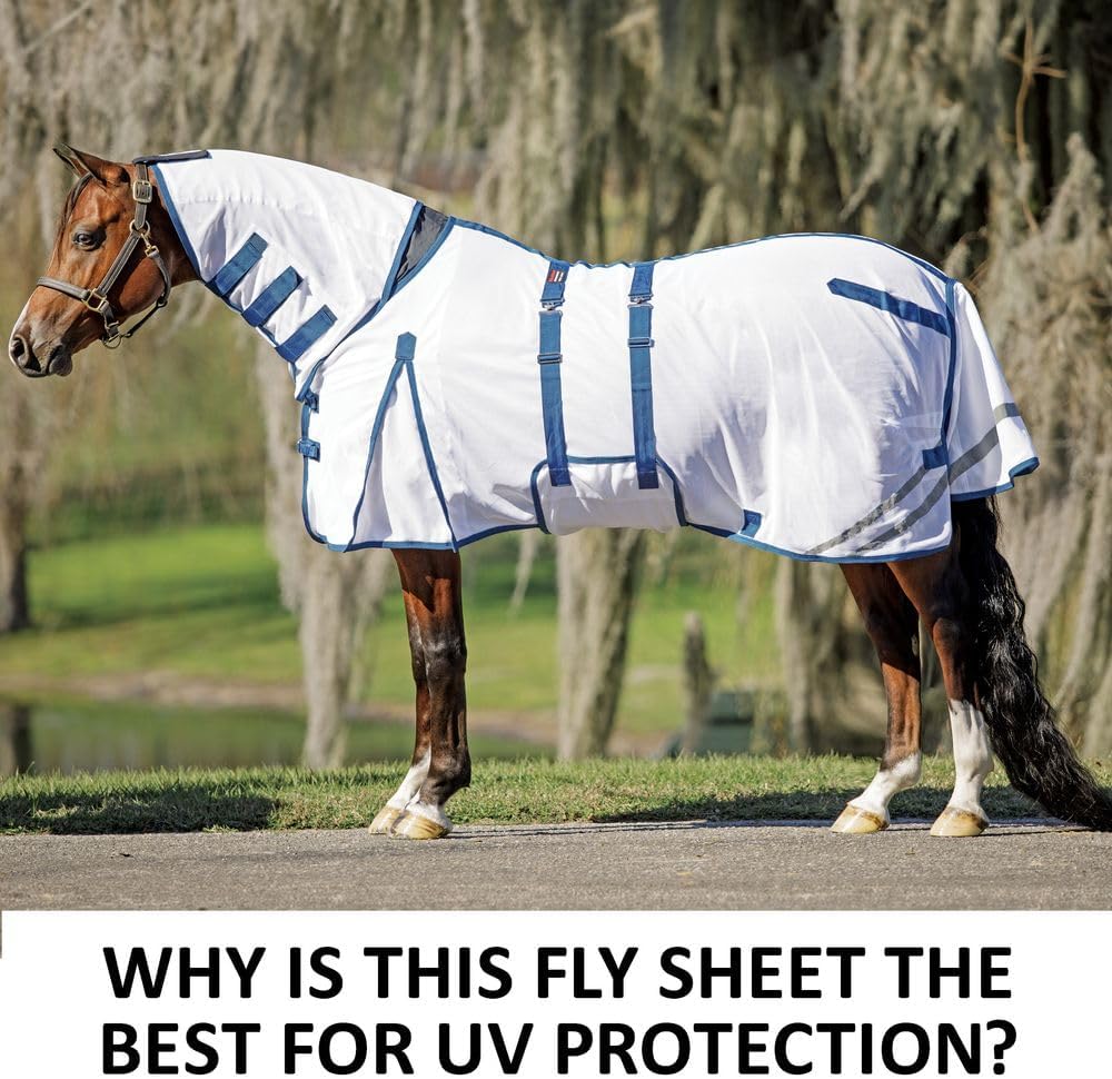 Schneiders premium equine fly sheet showing the attached neck cover and bellyband closures side view