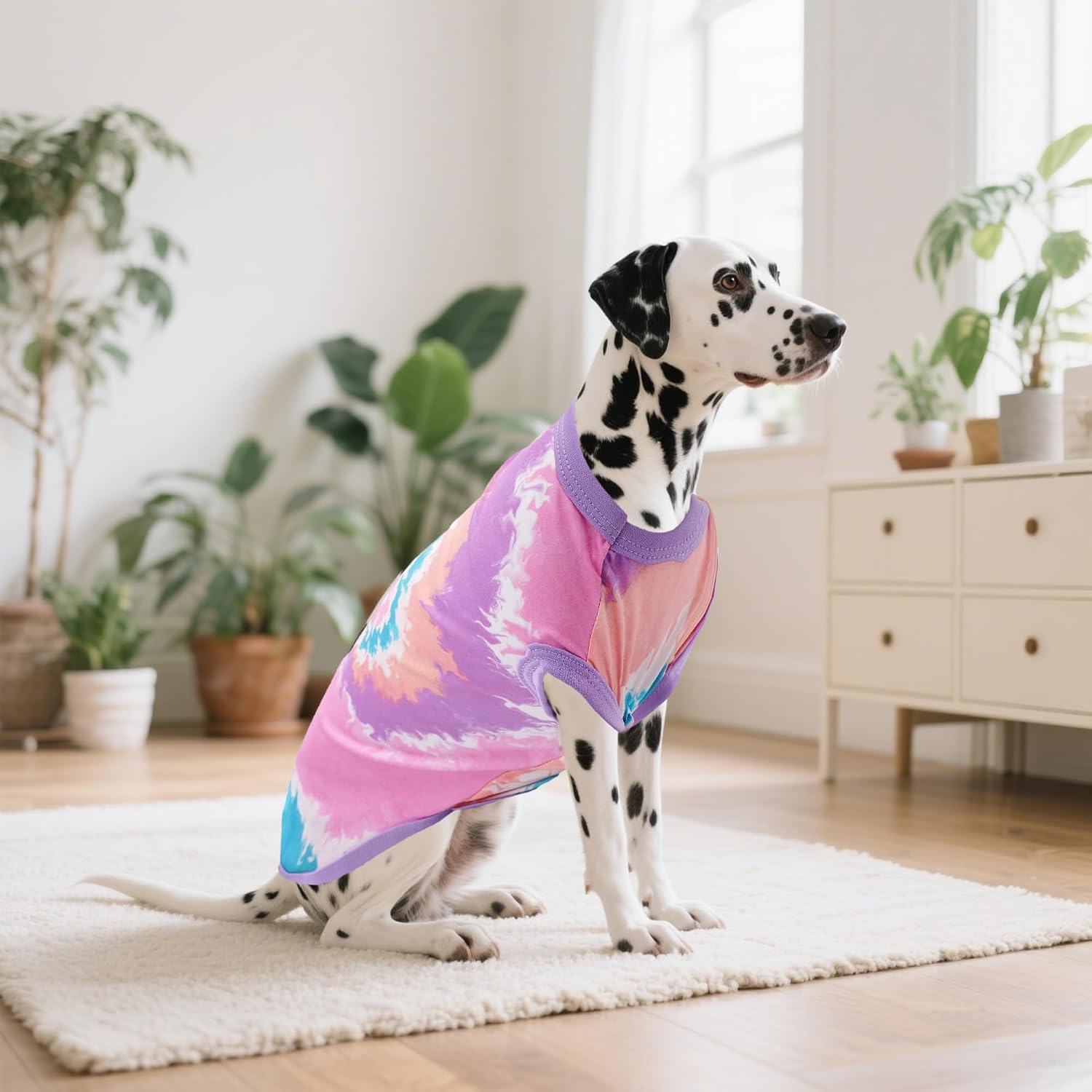 Small dog dressed in JpGdn pink and purple summer tank top