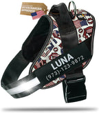 DOGGYKINGDOM Personalized Dog Harness with Custom Name Patches, Adjustable Reflective No Choke Dog Vest with Handle for Medium Sized Dog, Blue, M - Image 14
