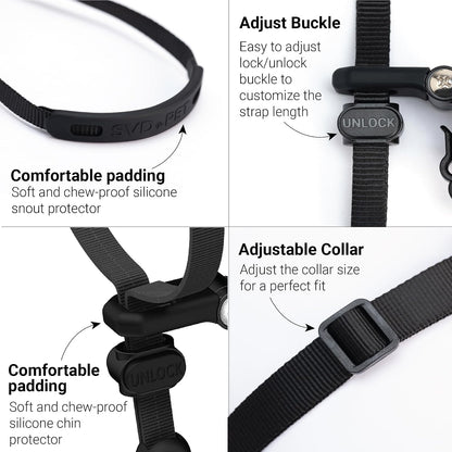 SVD.PET headcollar strap design for vision clarity