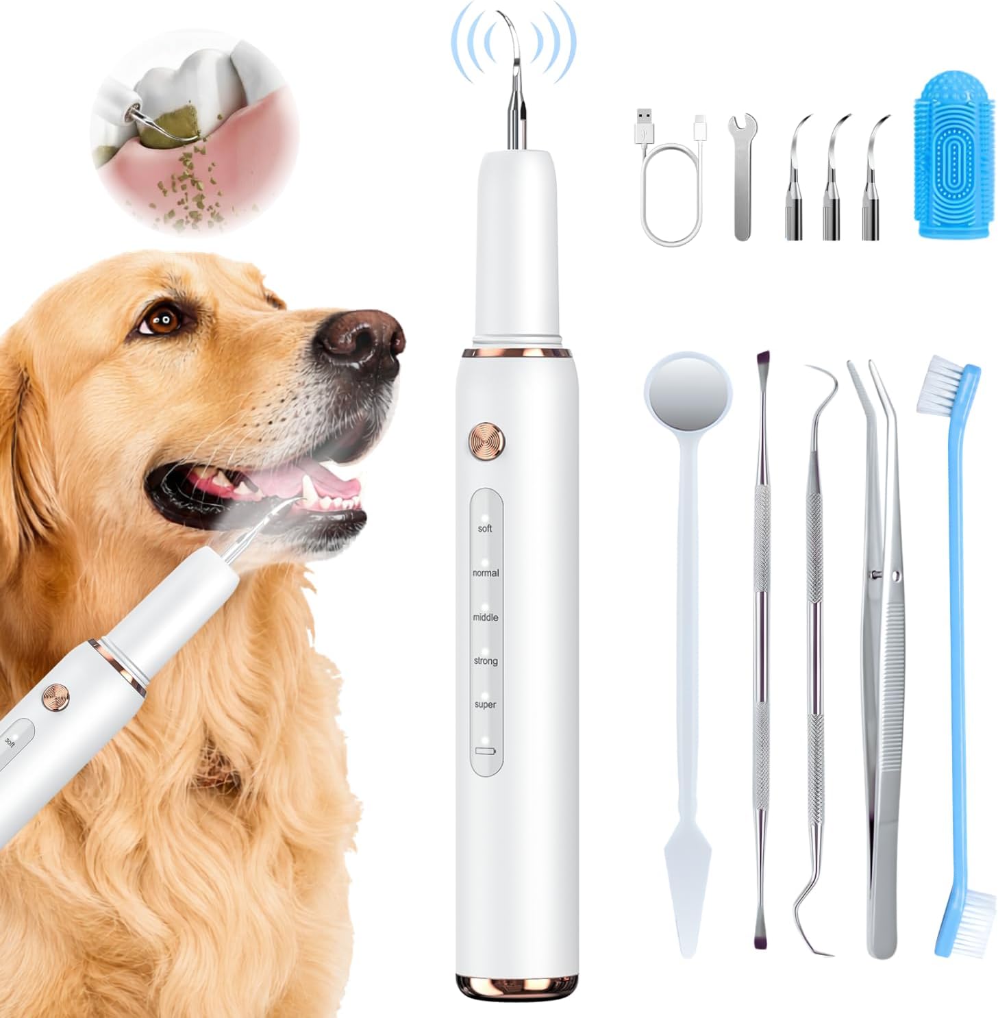 Minffimiw dog plaque remover electric tartar kit front view