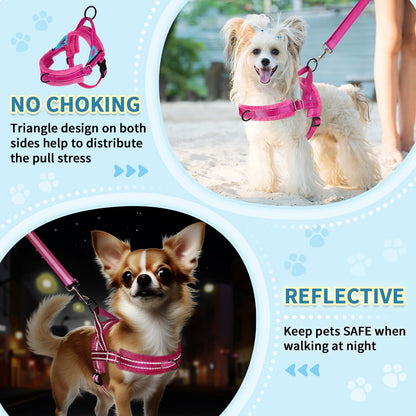 Adjustable neck and chest straps on SlowTon harness