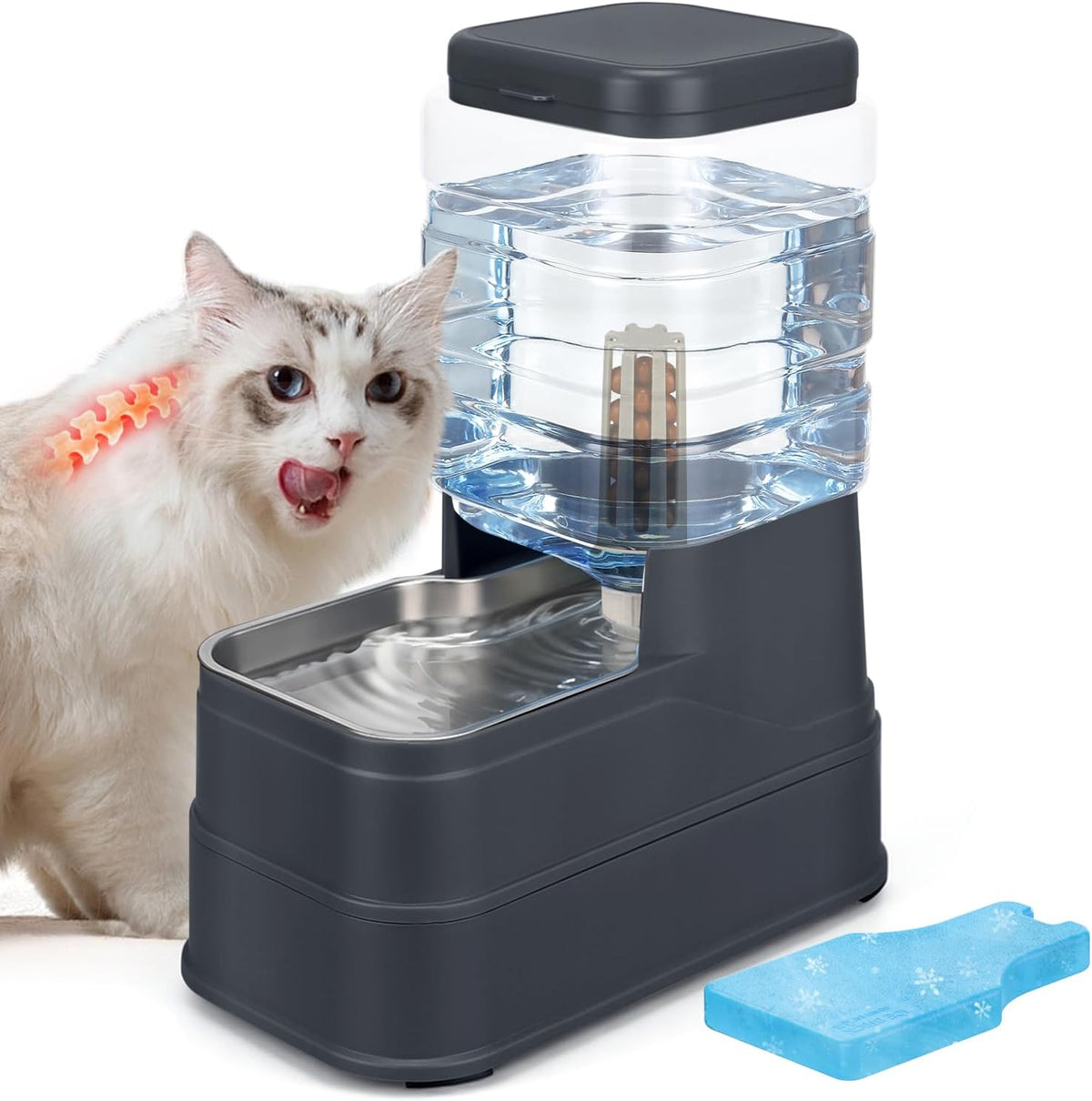 2.2 Gallon Pet Automatic Dog Water Dispenser Cat Gravity Waterer Feeder with Stainless Steel Bowl 8L Large Capacity Puppy Feeding Raised Bowls with Filter,Ice Pack - Image 11