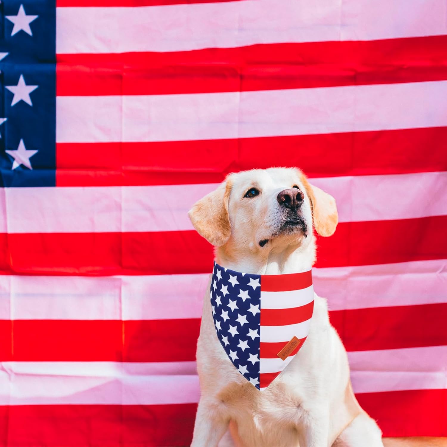 PTDECOR American flag dog bandana showing the premium branded leather tag