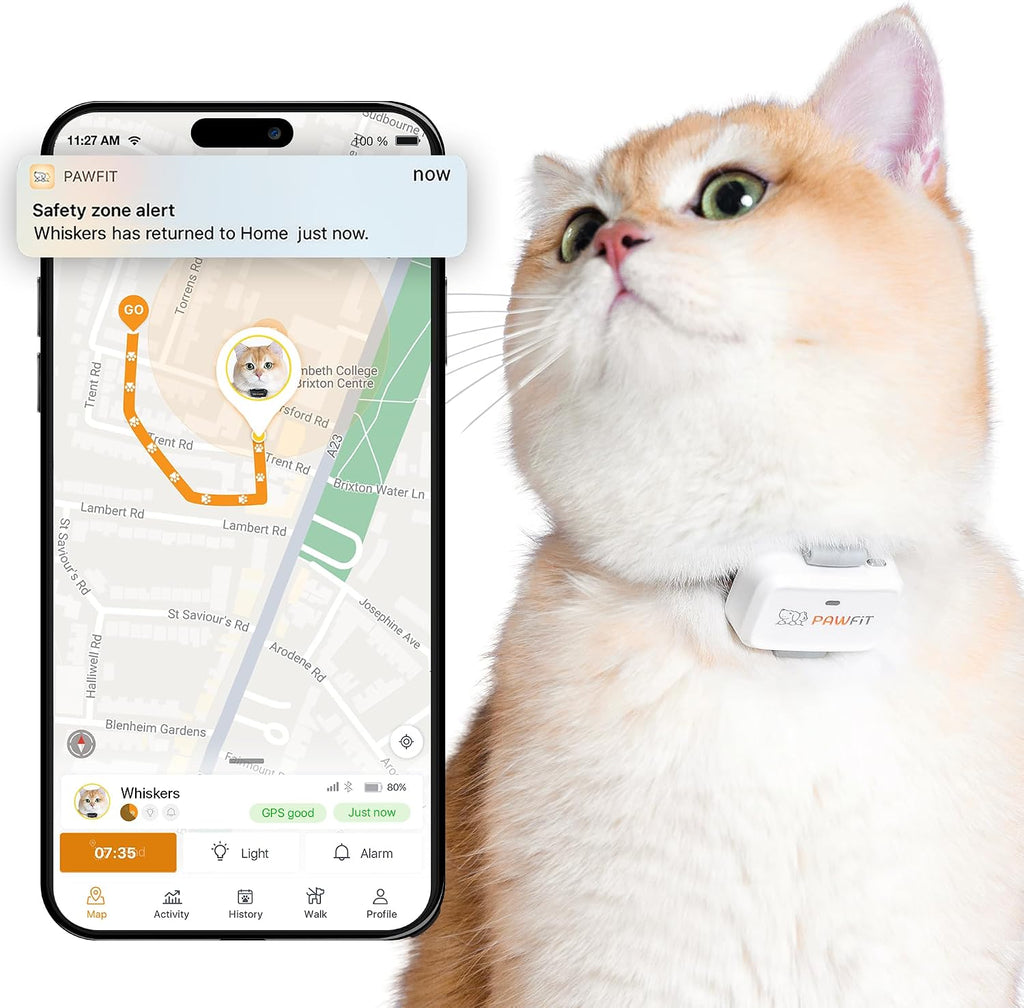 Pawfit Lite for Cats 4g GPS tracker front view in simply white.