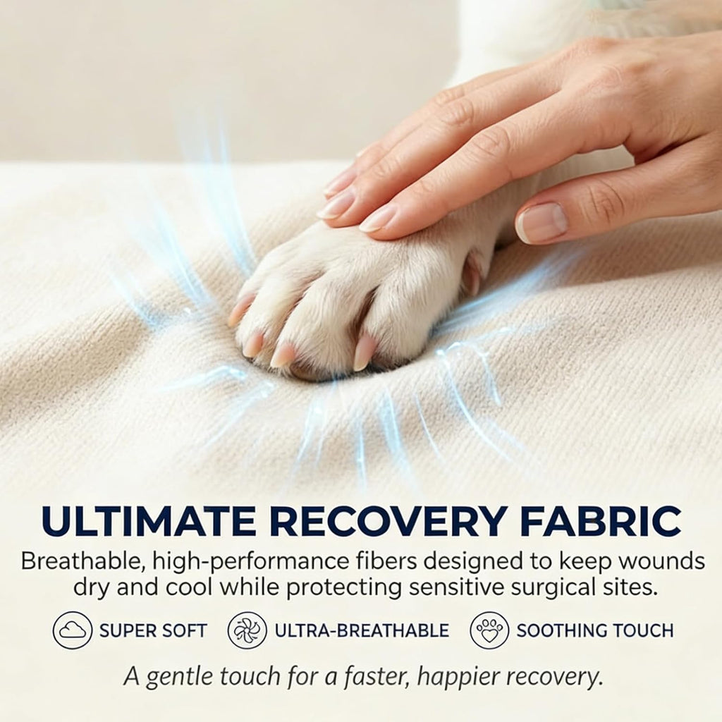Size guide for Furrtripsy disposable dog paw covers
