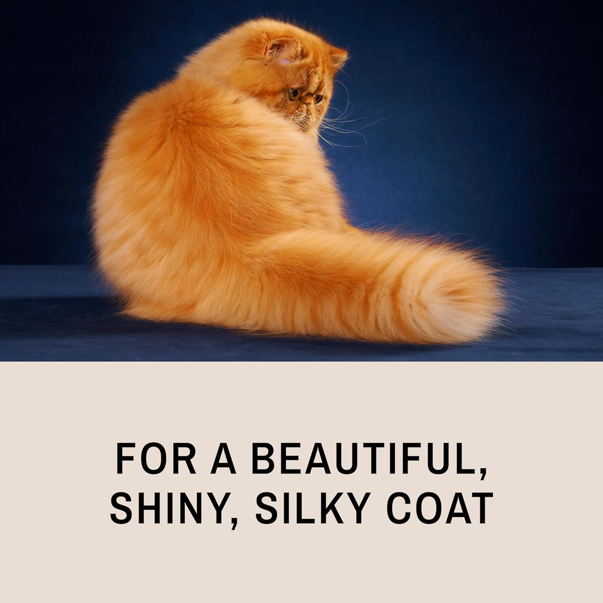 Eye Envy ProGlide comb with rounded tips for skin safety