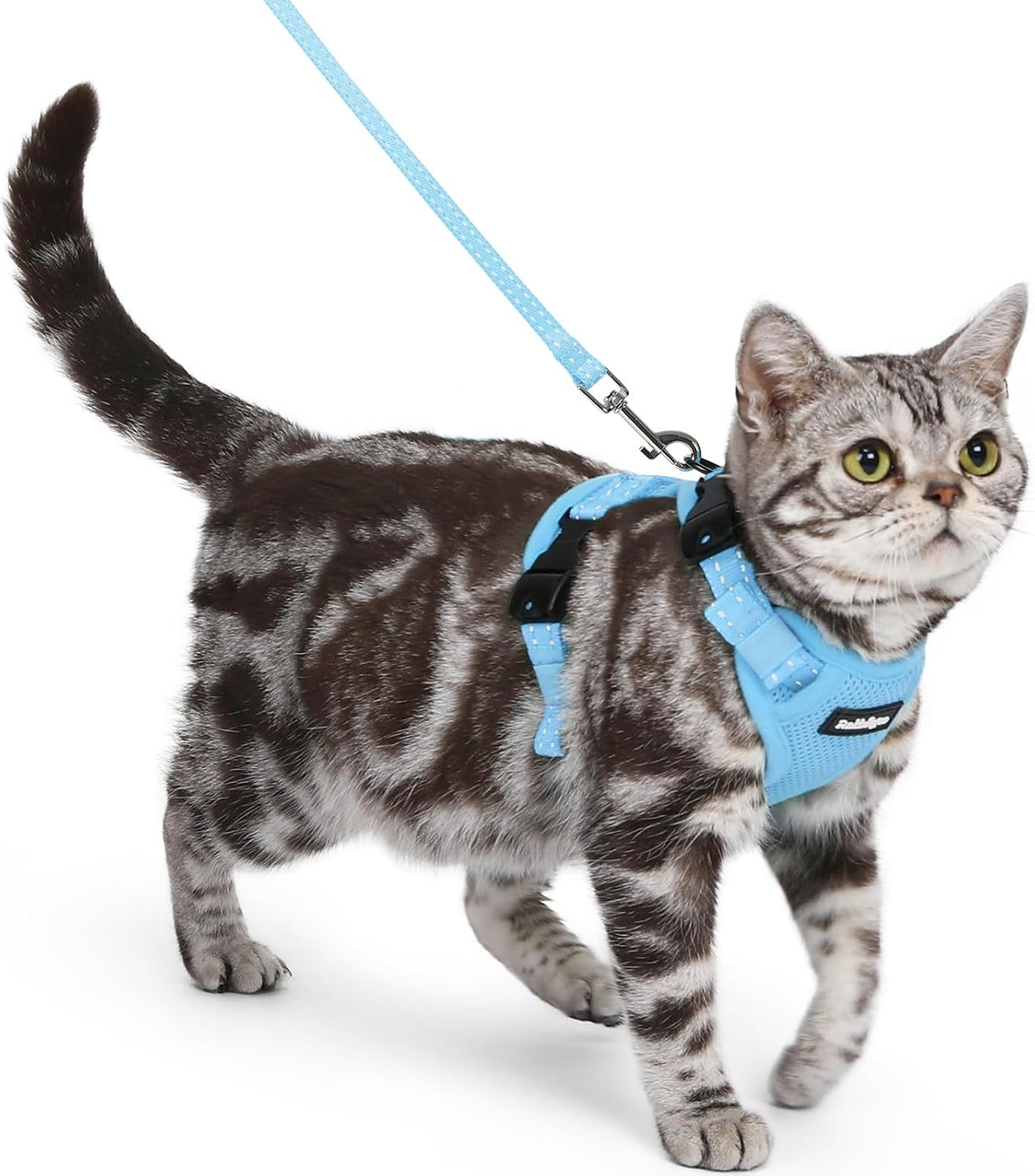 rabbitgoo Easy-on Cat Harness and Leash with Neck Buckle, S, Black | Escape Proof, No Over-the-head, Lockable Adjusters, 3 Secure Buckles, Soft Air Mesh, Reflective, for Average Adult Cats Walks - Image 15