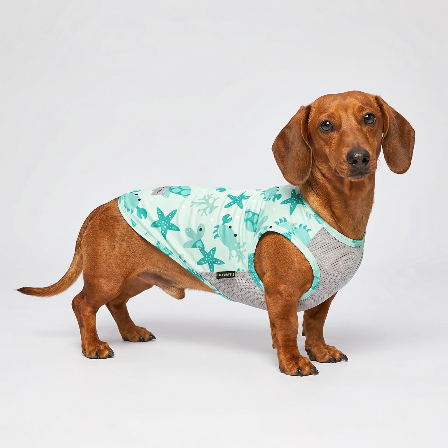 Close up of breathable mesh fabric on cooling dog vest