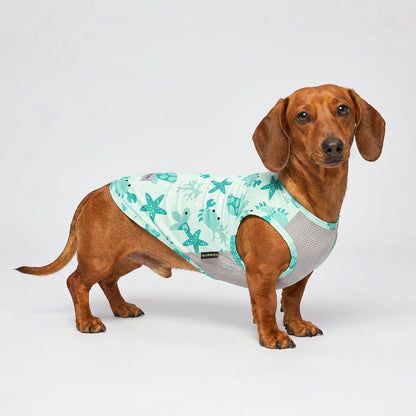 Close up of breathable mesh fabric on cooling dog vest
