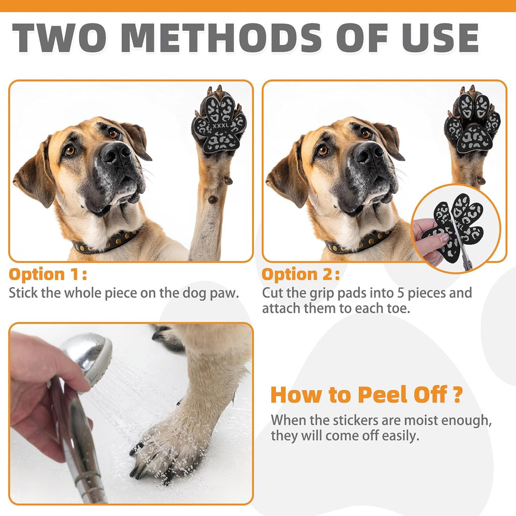 Dog wearing breathable cotton paw grips on hot pavement