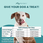 Premium pet allergy chewables for skin redness and hair loss support
