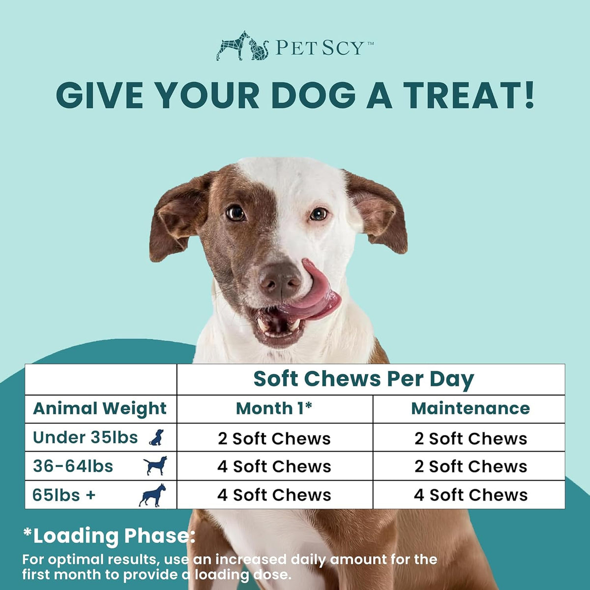Premium pet allergy chewables for skin redness and hair loss support