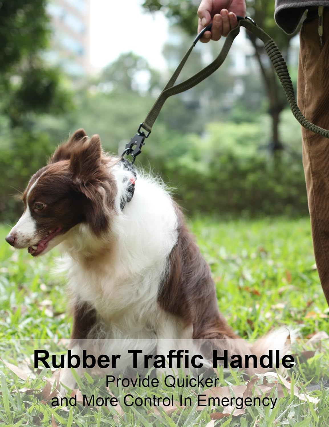 Tinmarda dog leash heavy duty quick release metal frog clip mechanism close up