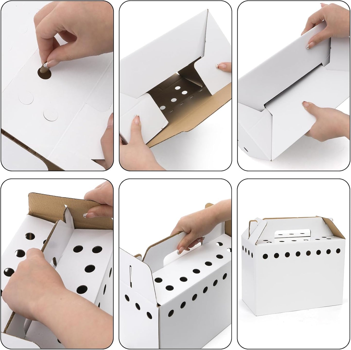 Coloch 20 Pack Cardboard Pet Carrier for Small Pets, 11x8x6 Inches Disposable Pet Transport Box for Pullets, Fowls, Hamsters, Gerbils, Reptiles, Guinea Pigs - Image 5