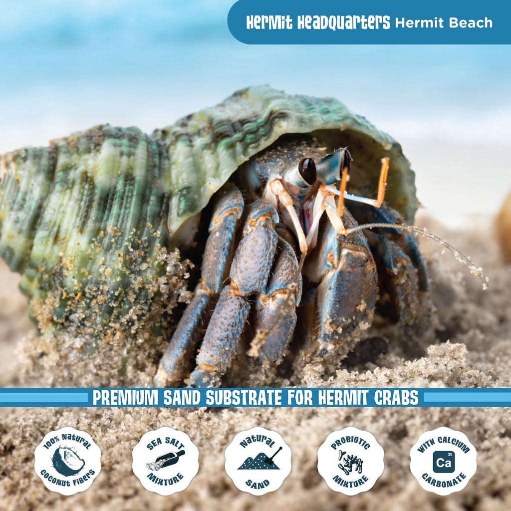 Hermit crab habitat setup using premium substrate mixture