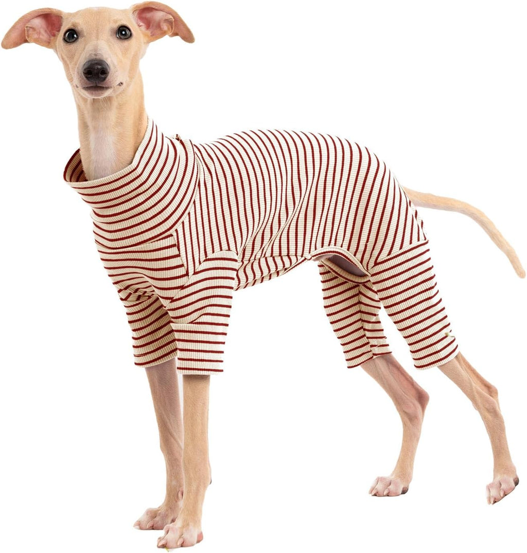 Haloumoning comfortable cold weather doggy outfit laid flat for sizing