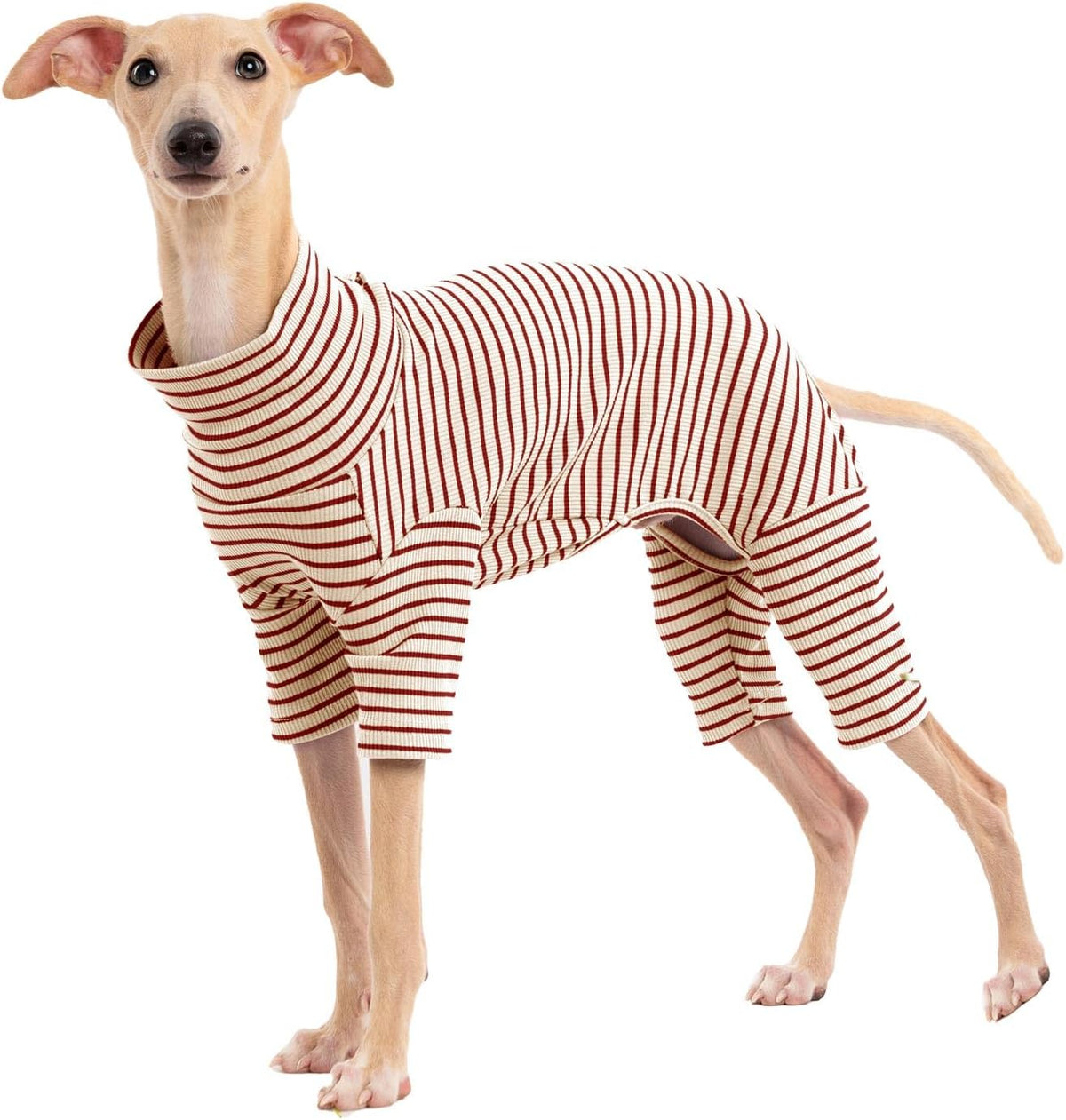 Haloumoning comfortable cold weather doggy outfit laid flat for sizing