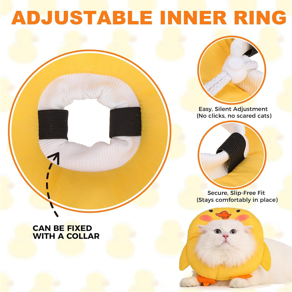 BINGPET cat protective collar in Small size for four to ten pound pets.