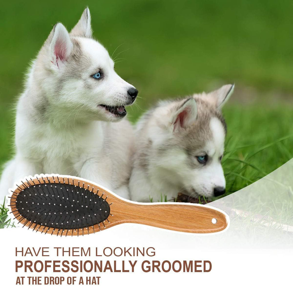 Close up of scratch free wire pins on a professional pet comb