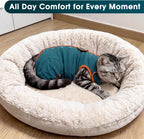 Dentrun cat recovery suit laid flat showing design features